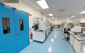 Cell Technology Lab