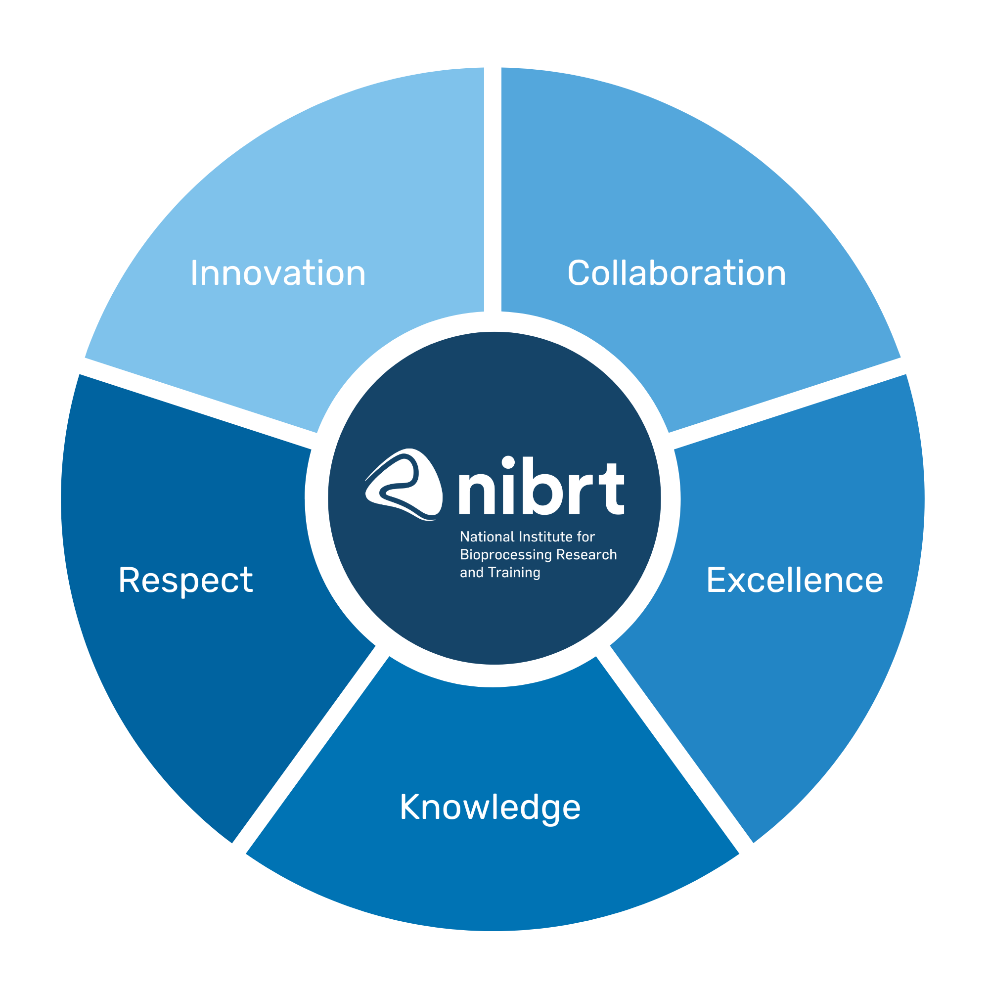 NIBRTS VALUES HR (40 x 40 cm)